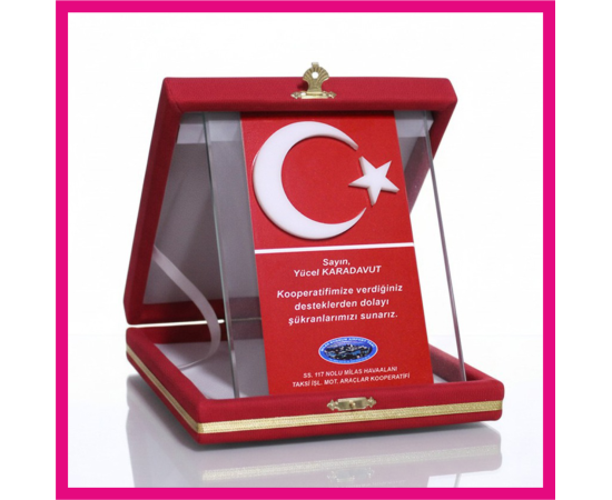 kristal plaket 10